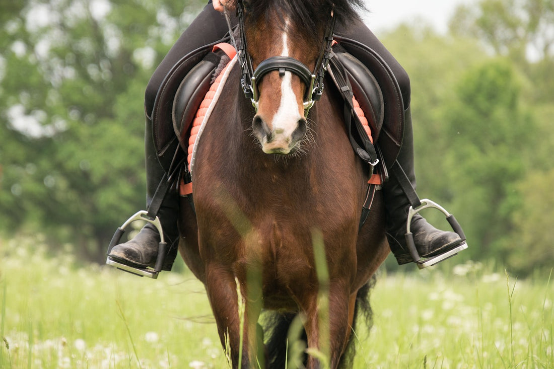 Les bienfaits de l'équitation d'extérieur : une approche globale pour le bien-être de mon cheval